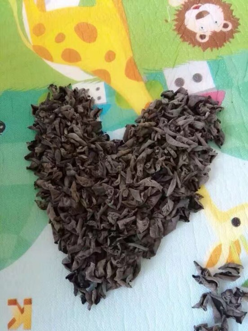 黑木耳