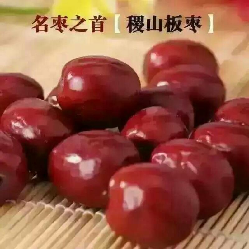 稷山板枣