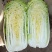 河南焦作自产自销北京新三号白菜4~6斤