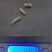 蝇蛆活蛆