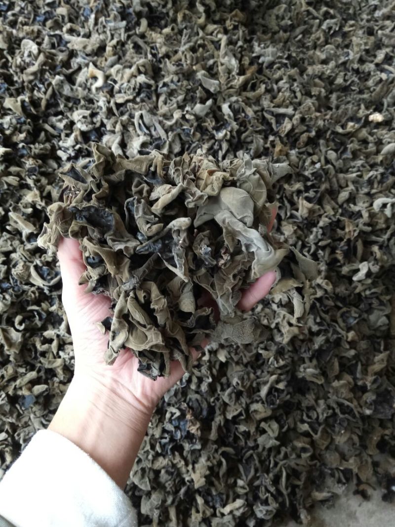 干木耳一级