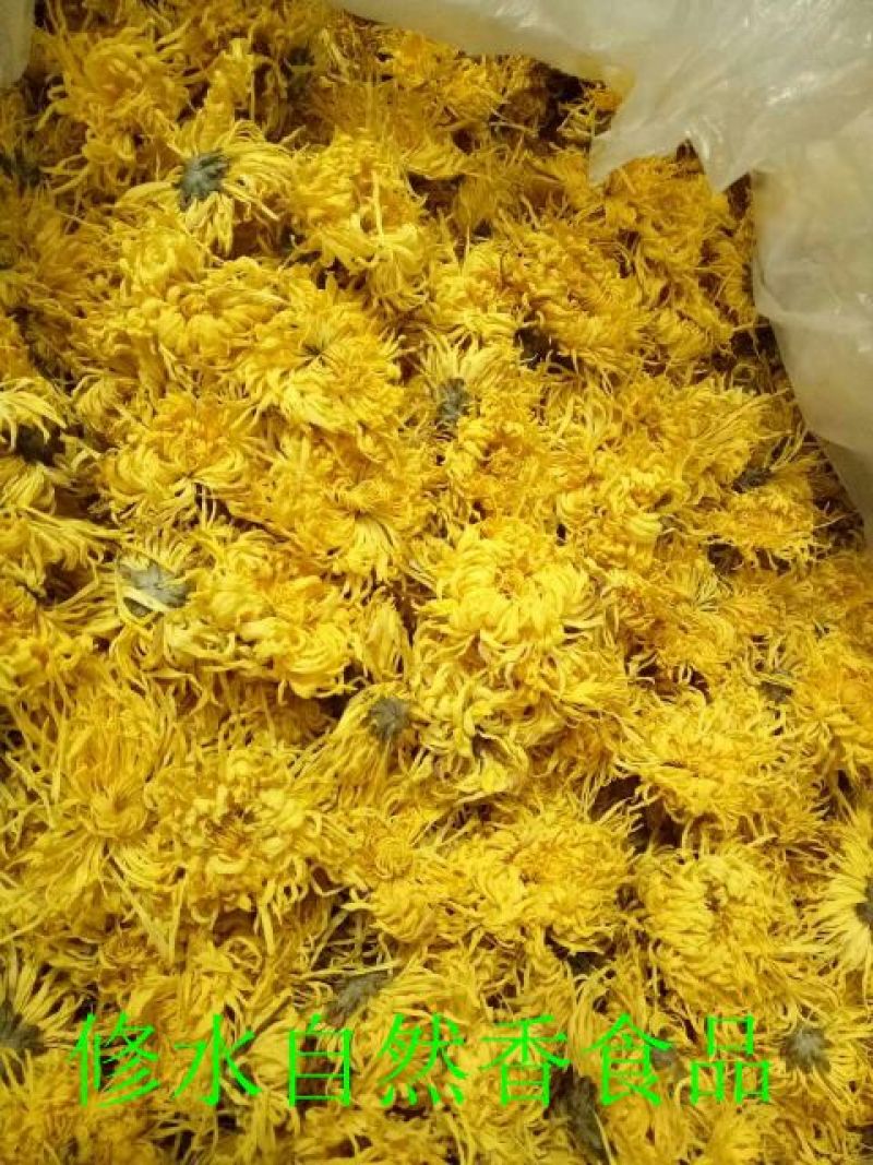 菊花茶
