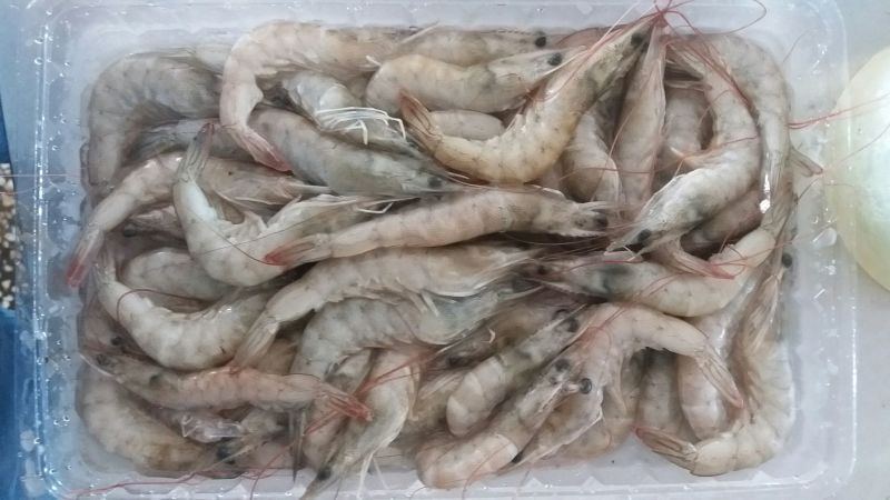 青虾食用26~30只/kg