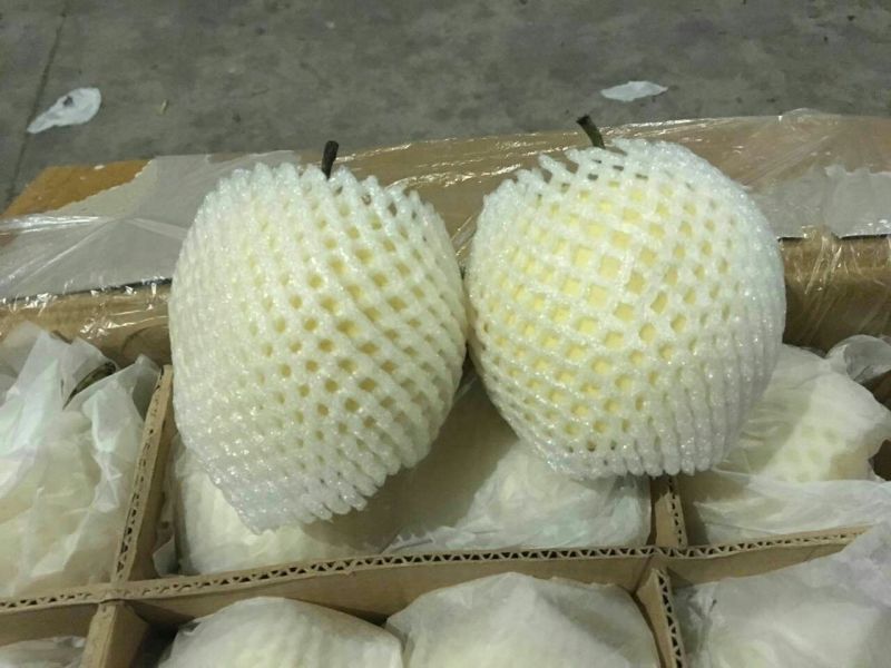 雪花梨450~500g纸箱