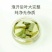 荷叶茶一级