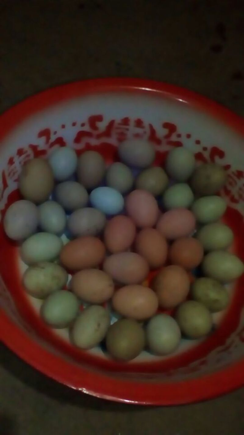 土鸡蛋食用50g以下