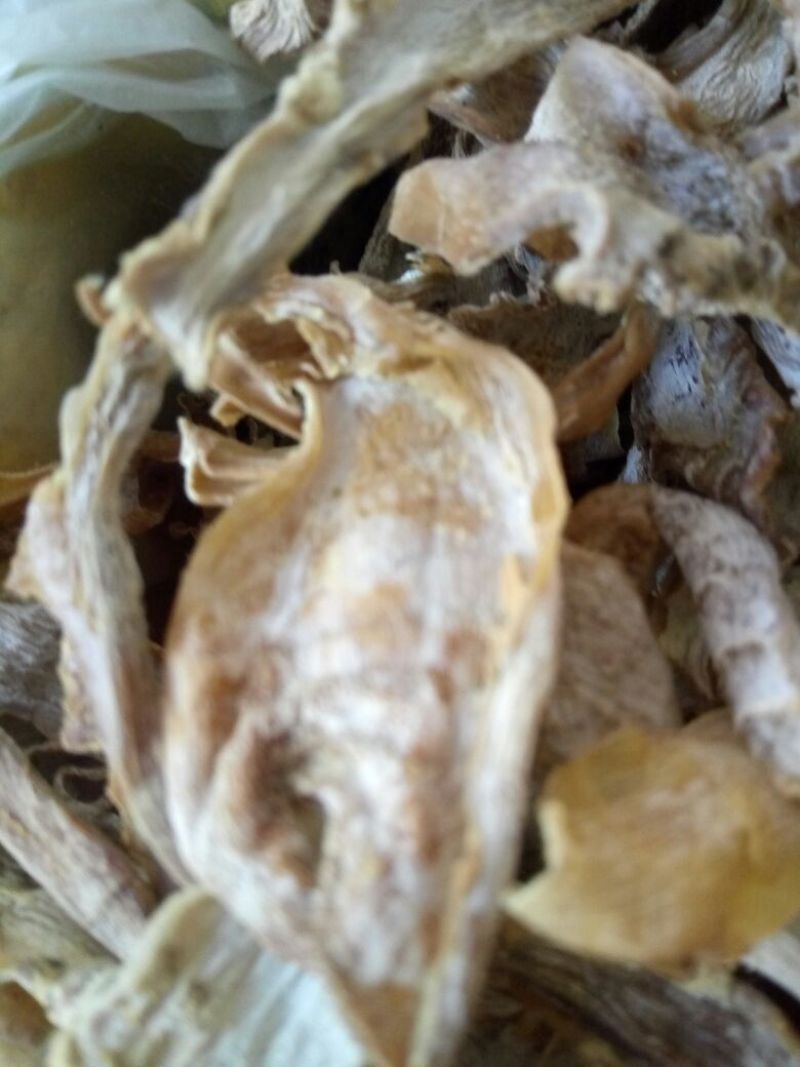 浙江温州无盐竹笋干干货农家自制装嫩笋干笋尖干笋干冬笋干