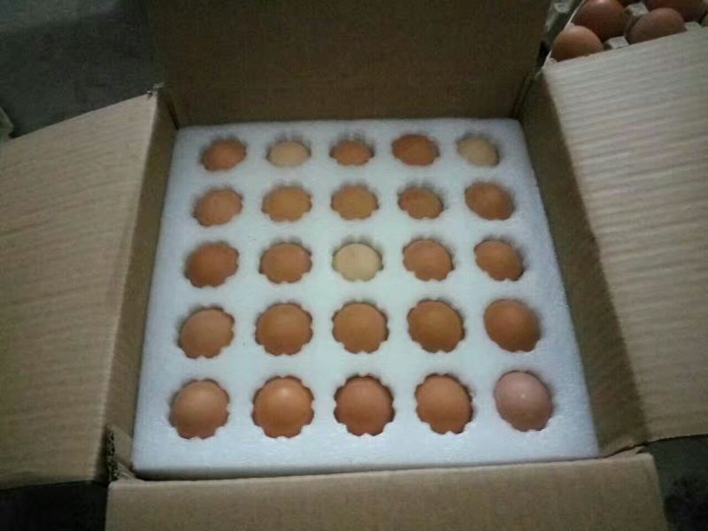 土鸡蛋食用50~60g