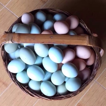 绿壳鸡蛋
