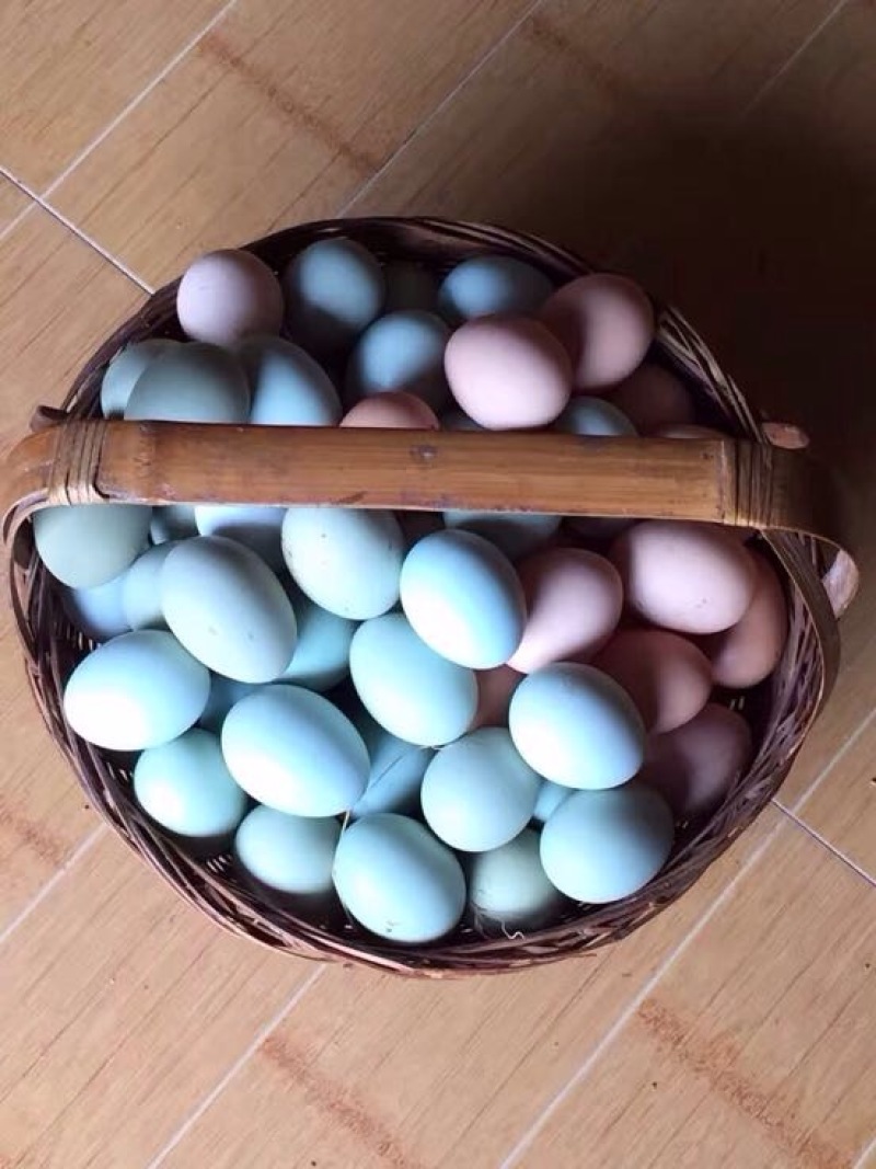 绿壳鸡蛋