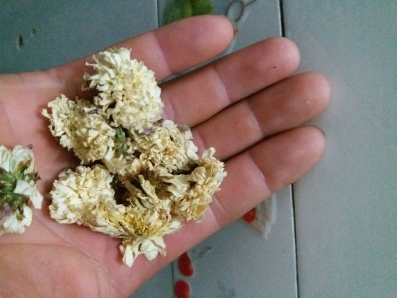 怀菊花袋装