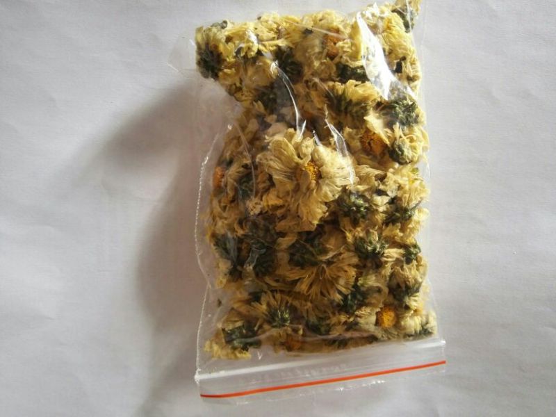 杭州白菊散装
