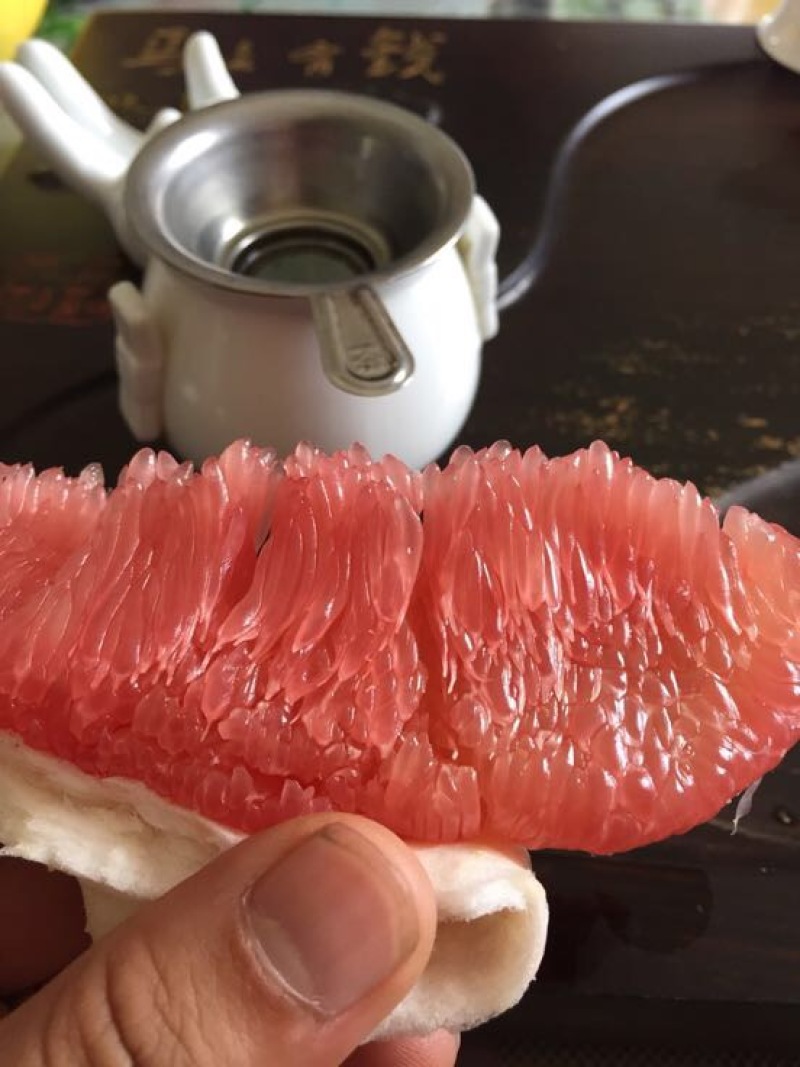 平和琯溪蜜柚
