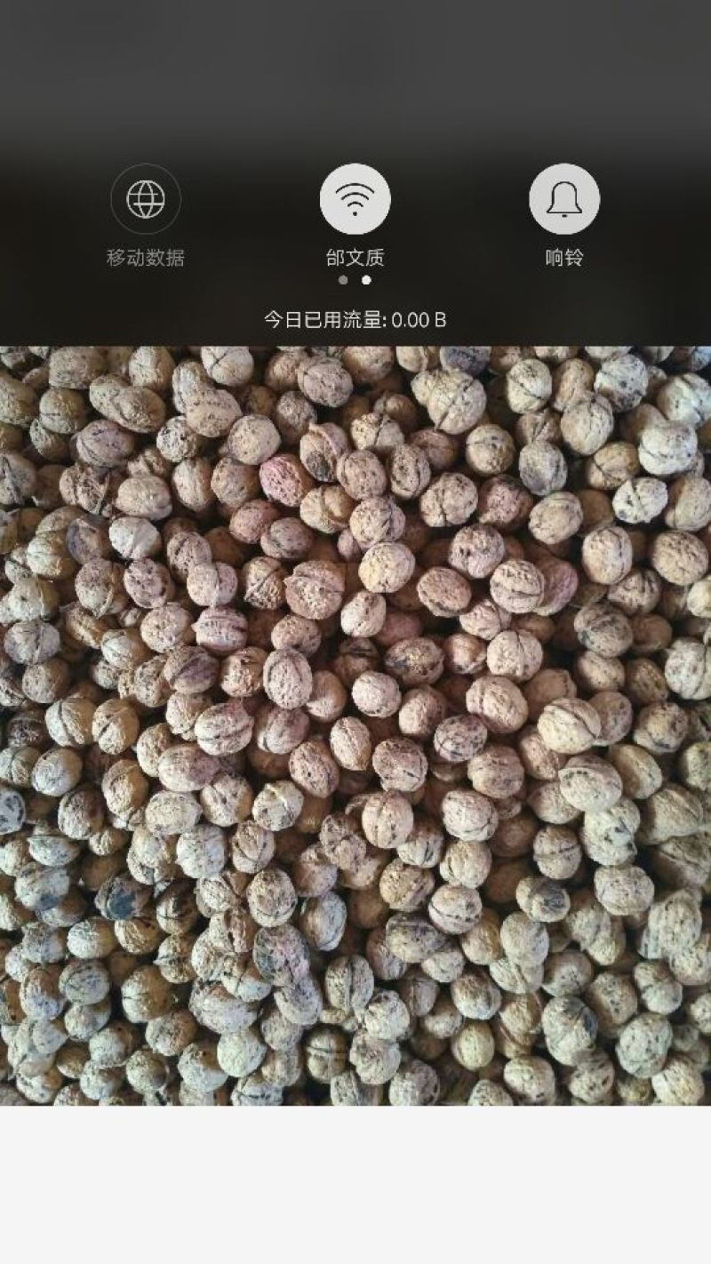 纸皮核桃去皮干