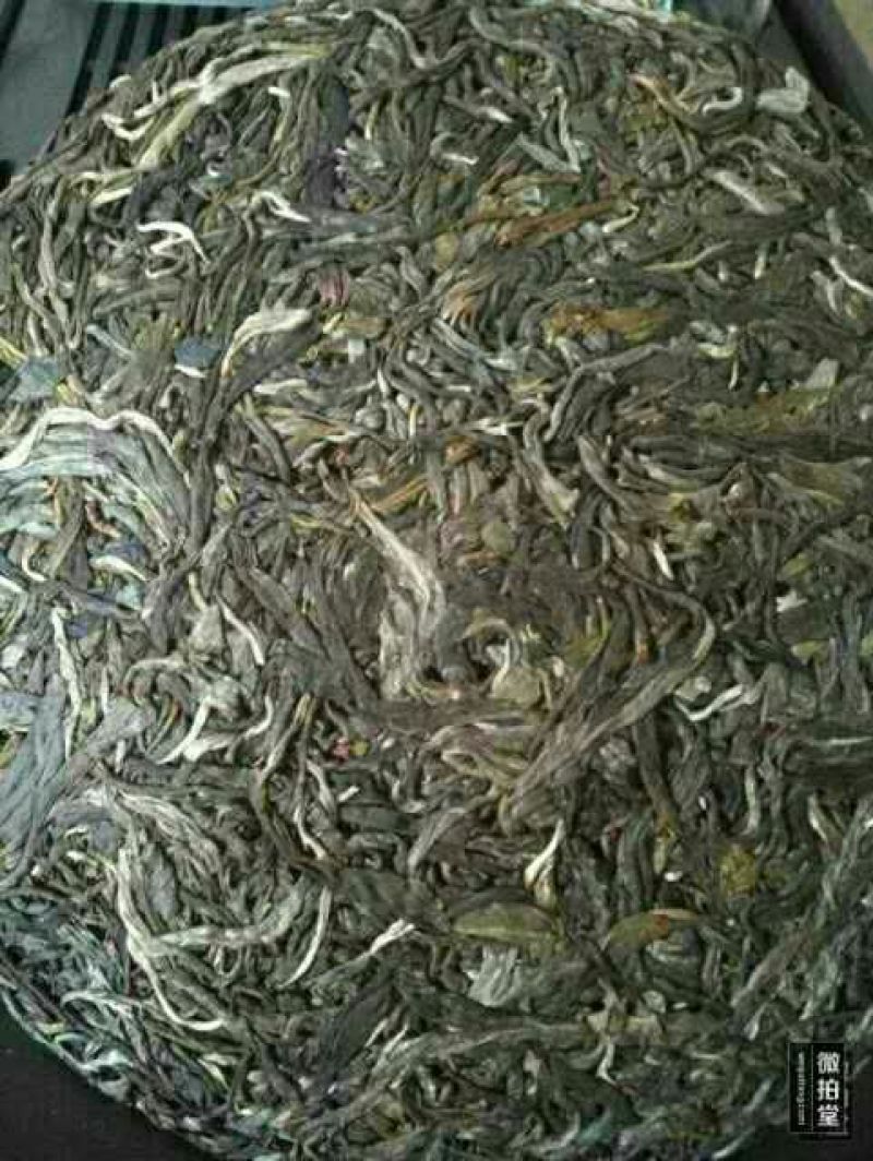 百年大树茶特级
