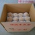 丰水梨300~350g纸袋