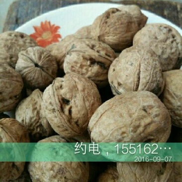 野生核桃25mm以下去皮