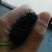 桑葚4~5cm