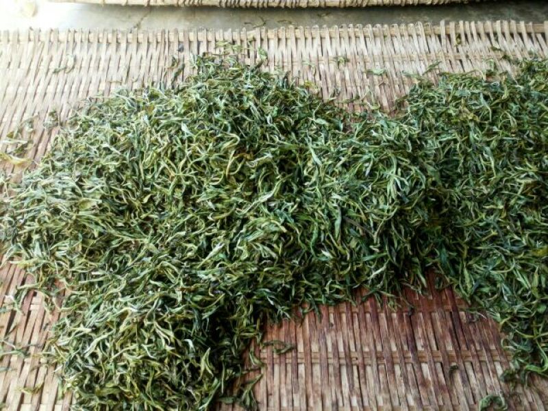 百年大树茶特级