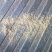 花生糠花生秧草粉