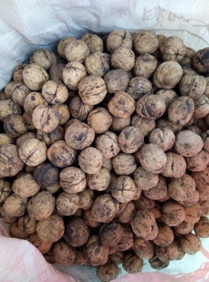 核桃去皮干量大价格便宜