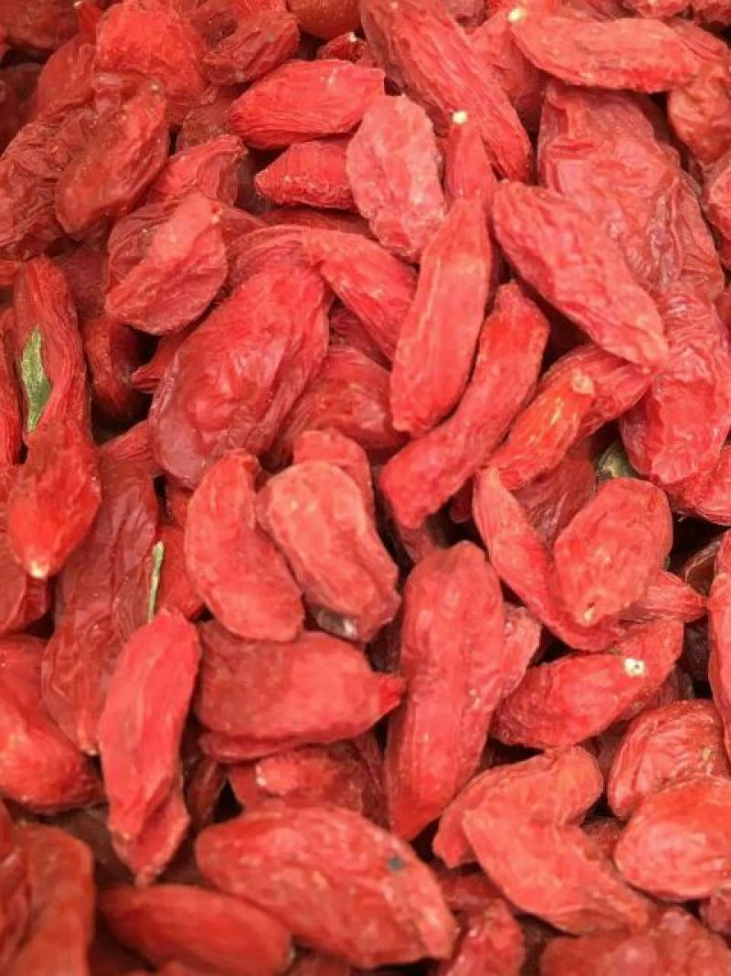 红枸杞头茬