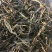普洱茶散茶