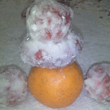 ，糖雪球厂家直销欢迎订货。品种不一样各种蜜蜜钱。