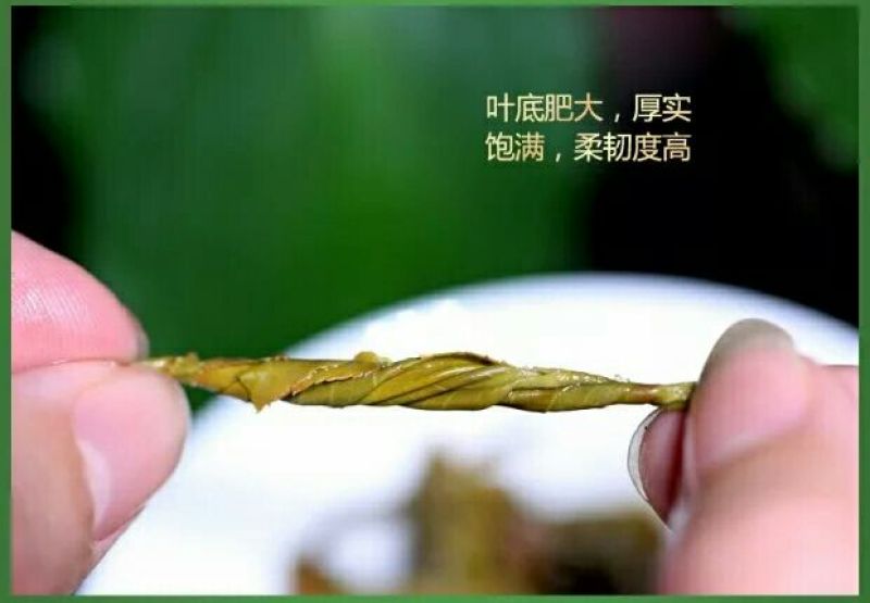 普洱茶