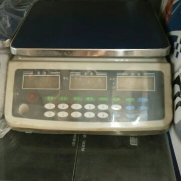 电子平台秤30kg