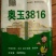 玉米种子