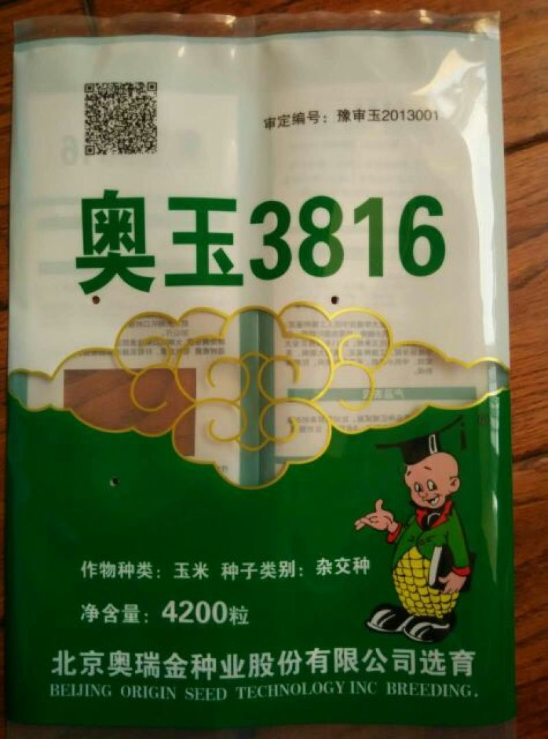 玉米种子