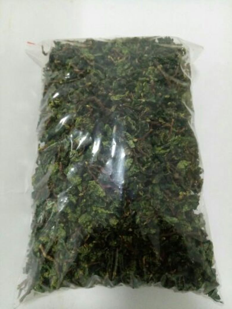 本山茶特级