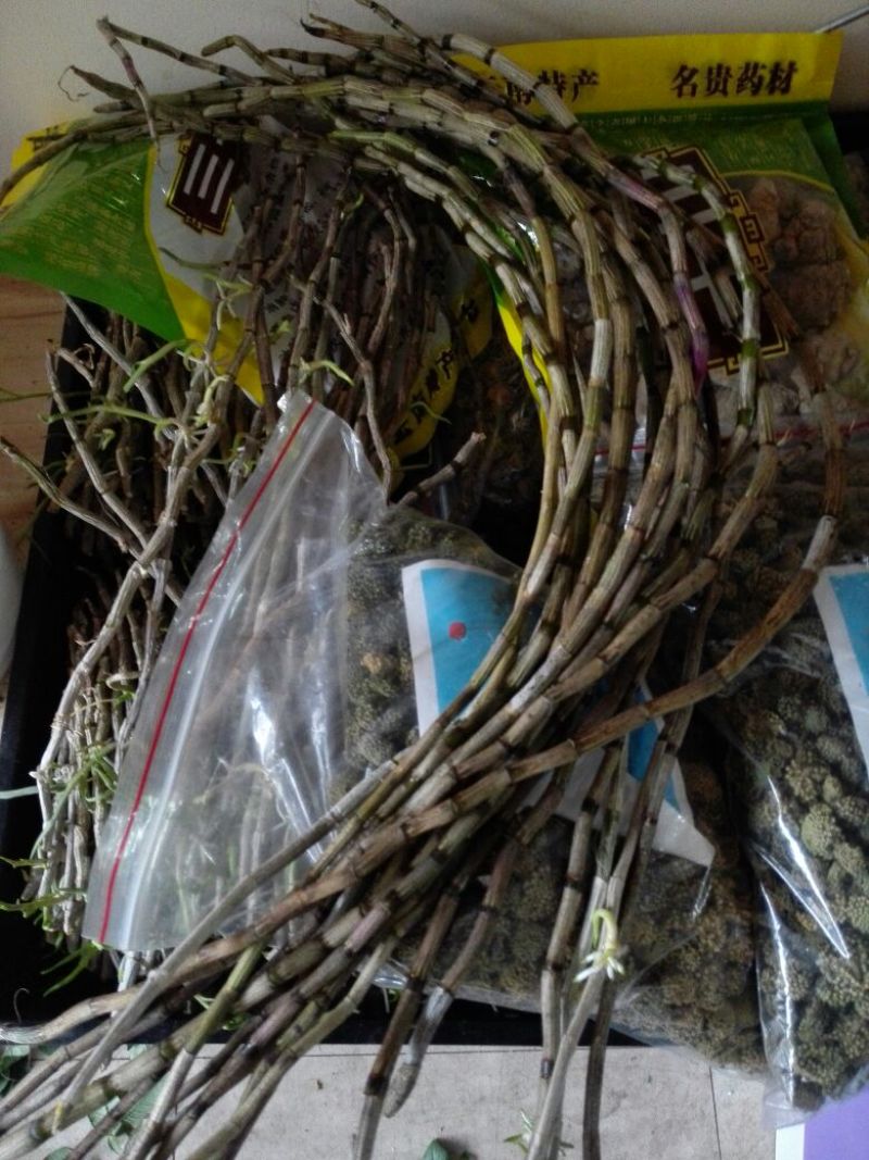 铁皮石斛盆花
