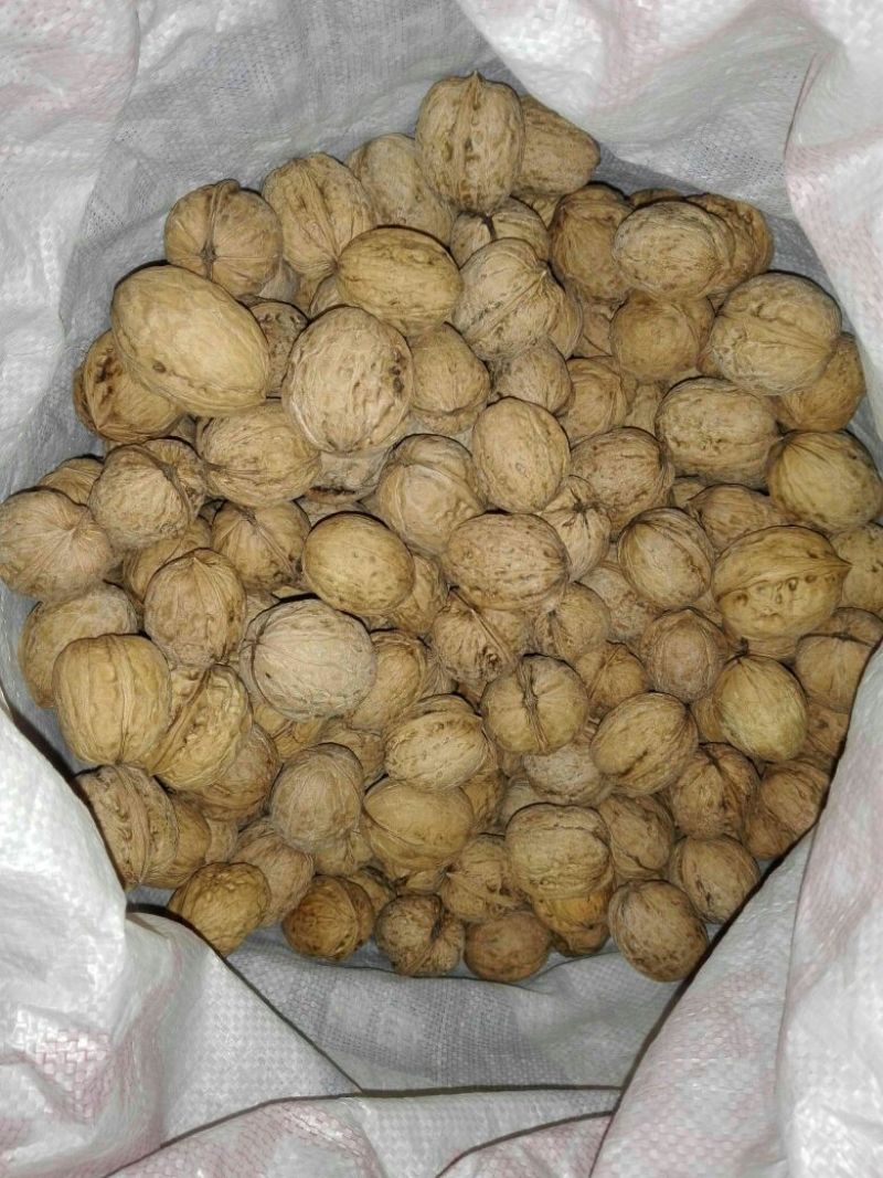 薄皮核桃去皮干