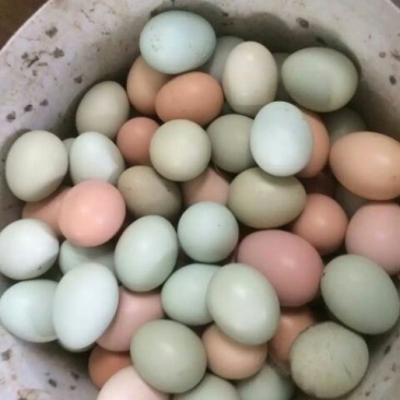 土鸡蛋食用50g以下