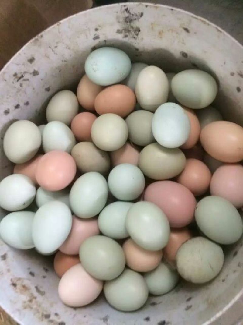 土鸡蛋食用50g以下