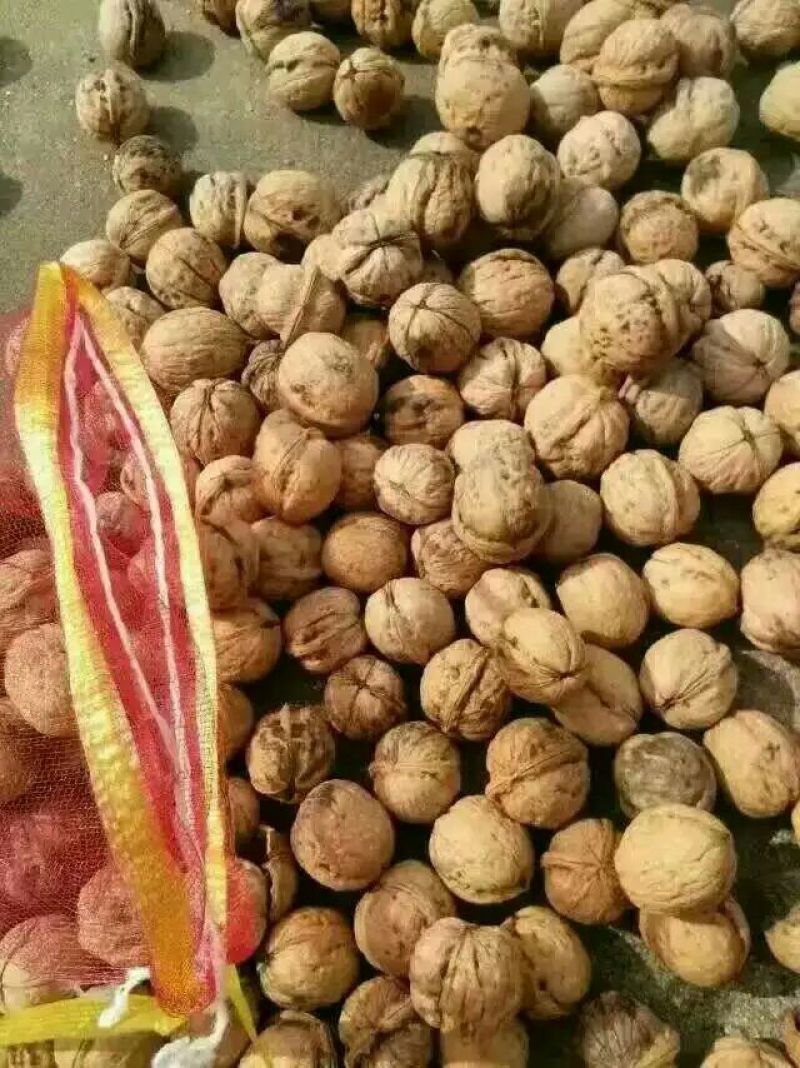 薄皮核桃30mm以上去皮干