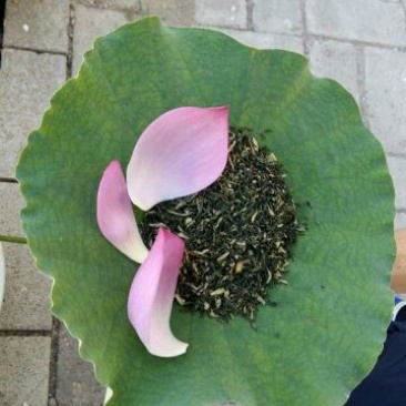 荷叶茶一级