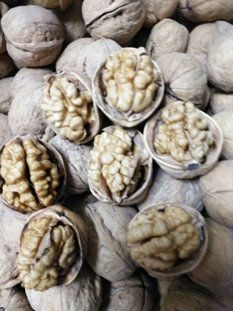 薄皮核桃去皮干
