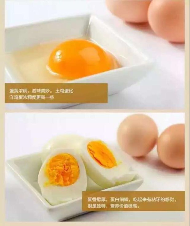 土鸡蛋