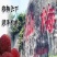 仙居杨梅