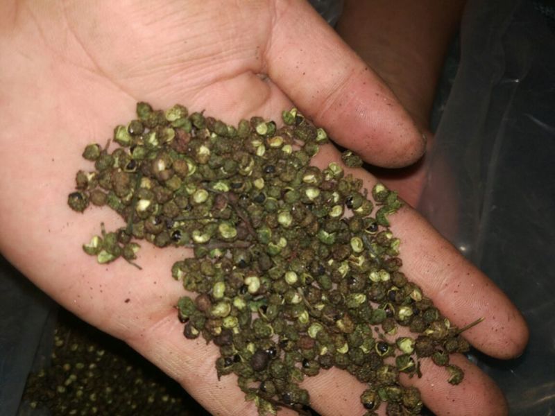 青花椒一级干