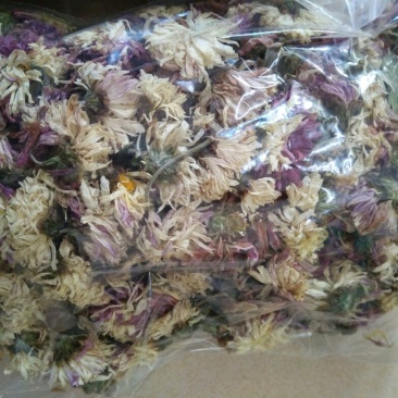 白菊花茶
