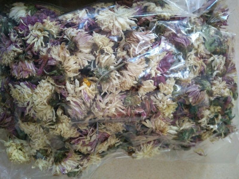 白菊花茶