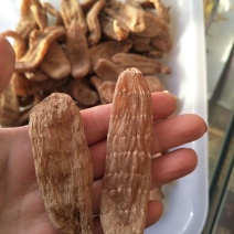 天麻一级