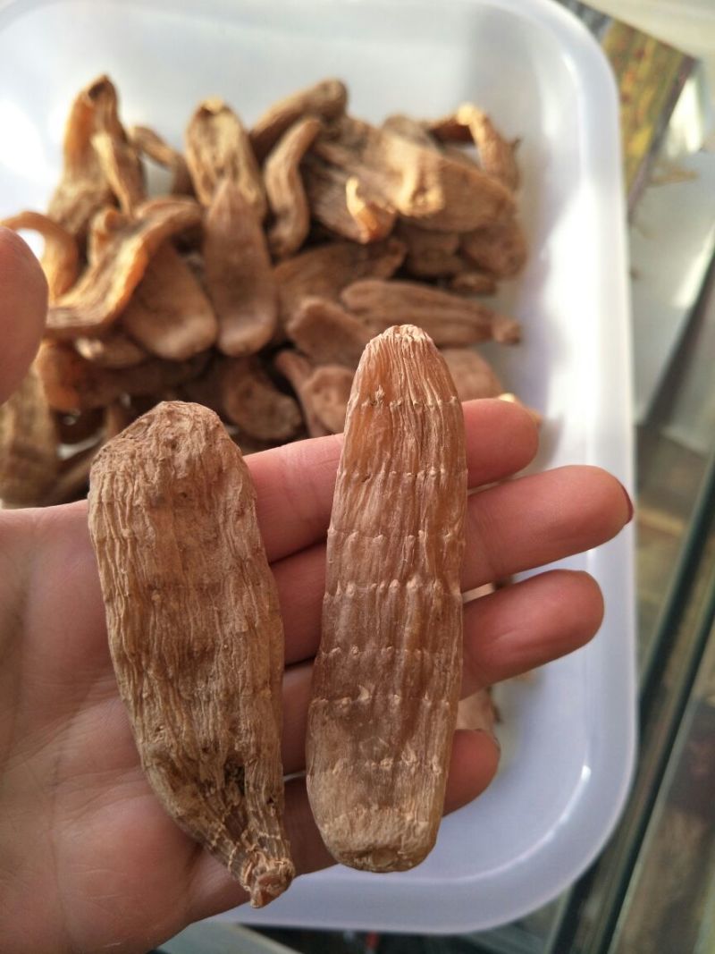 天麻一级
