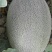 西州蜜瓜5斤以上椭圆形