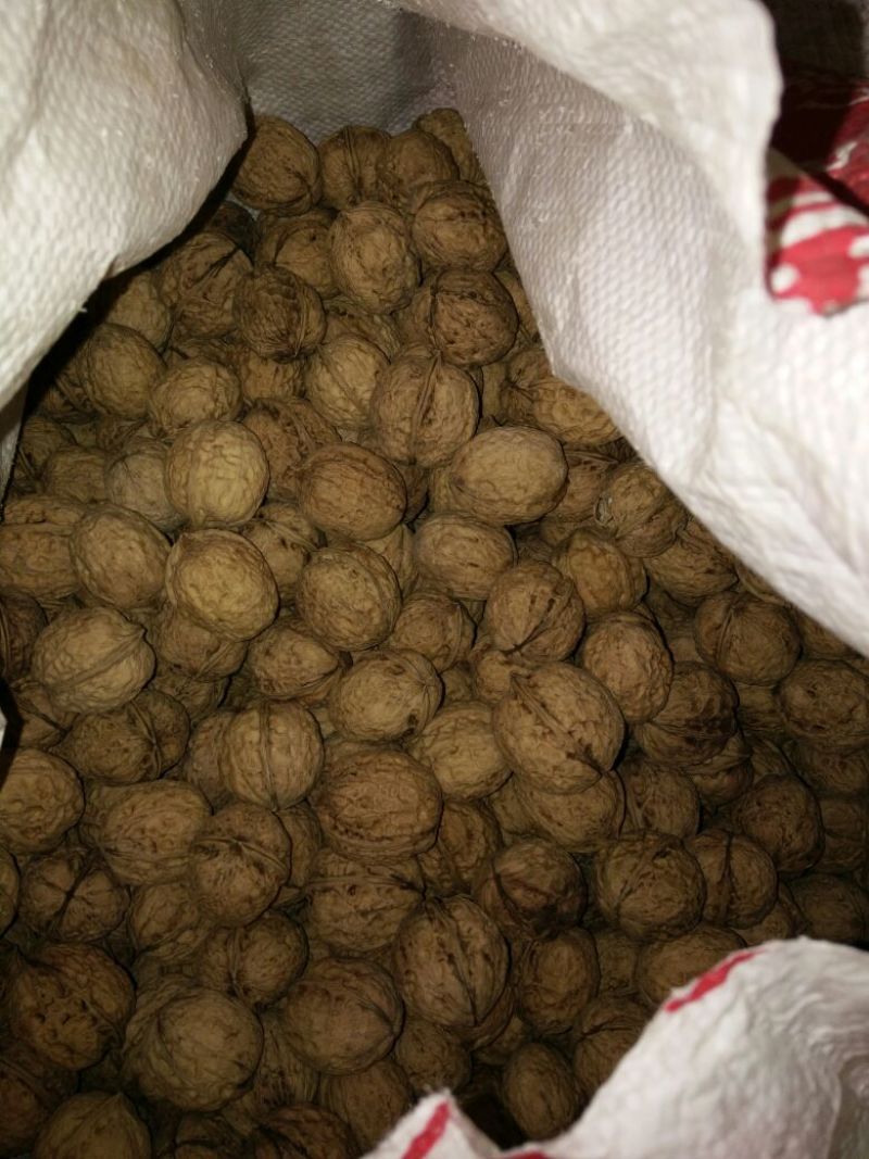 薄皮核桃30mm以上去皮
