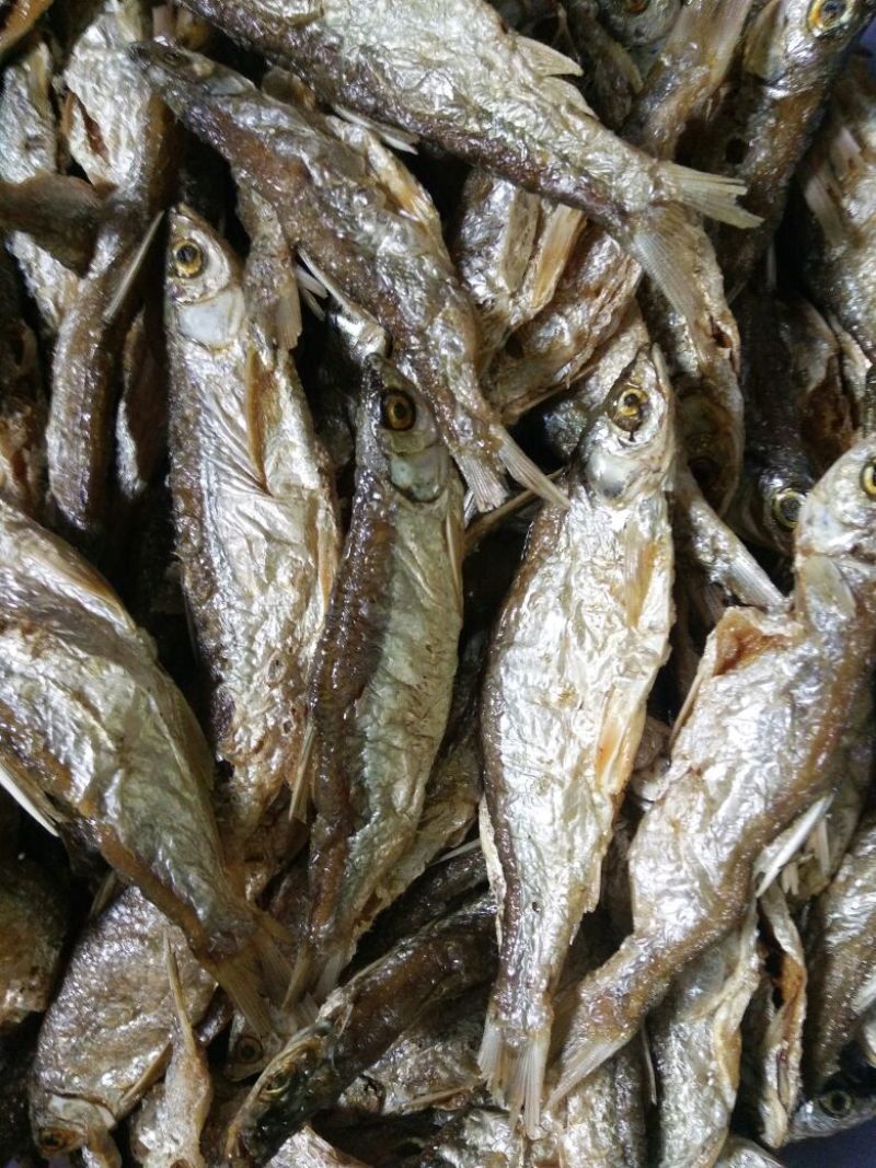 鱼干炸鱼干